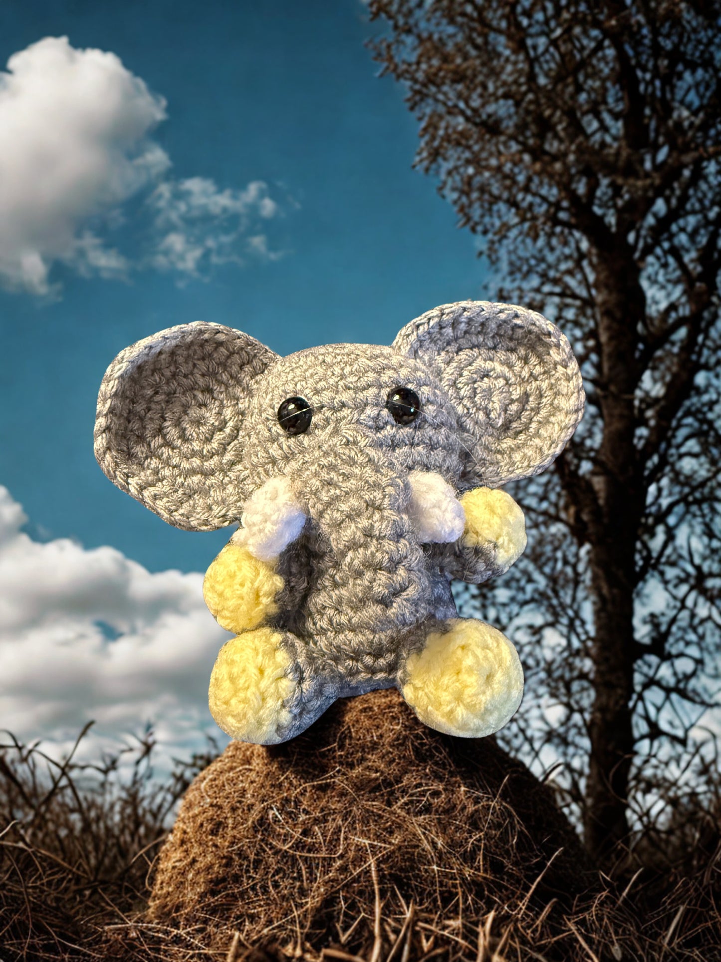 Tillie the tiny Elephat