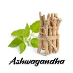 Bunch of dried Ashwagandha roots with green leaves on a white background