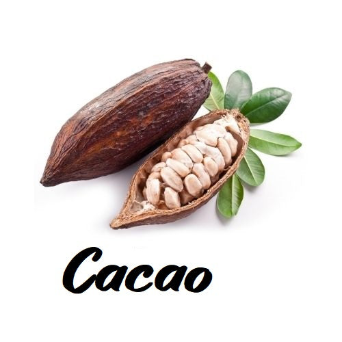 Cacao pod with beans and leaves on a white background, labeled 'Cacao'.