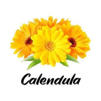 Three yellow calendula flowers with green leaves on a white background, featuring the word 'Calendula'.