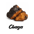 Chaga mushroom on a white background with 'Chaga' text below.