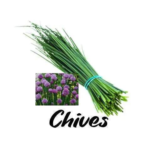 Egg Magic - Triple H Homestead & Triple H Country Store -- Culinary Pouch