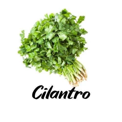 Chili Spice & Rub - Triple H Homestead & Triple H Country Store -- Culinary Pouch