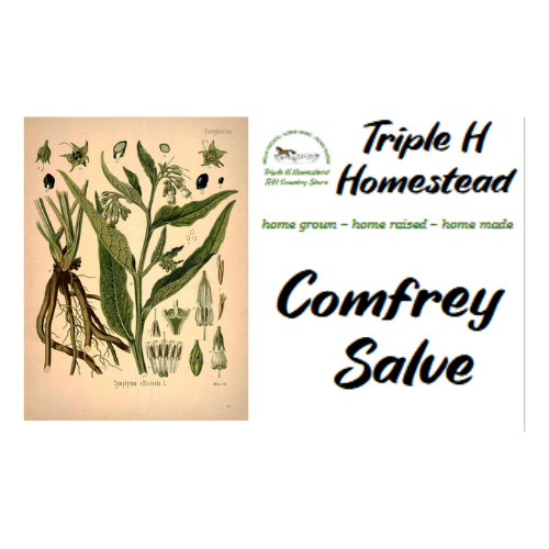 Comfrey Salve - Triple H Homestead & THH Country Store -- 