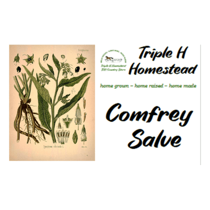 Comfrey Salve - Triple H Homestead & THH Country Store -- 