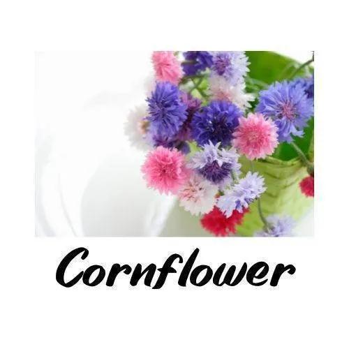Colorful cornflower bouquet with a white background and 'Cornflower' text.
