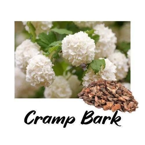 White flowers with a piece of cramp bark on a white background