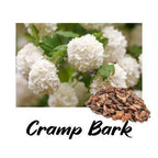 White flowers with a piece of cramp bark on a white background