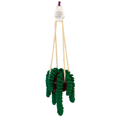 Crochet Curly Vine Plant ✨🌿