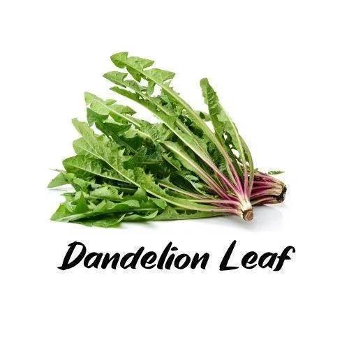 Bunch of dandelion leaves with the text 'Dandelion Leaf' on a white background