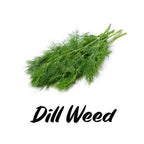 Bunch of dill weed on a white background with 'Dill Weed' text.