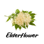 Elderflower with green leaves on a white background
