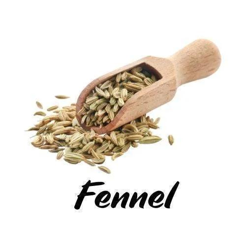 Fennel seeds in a wooden scoop on a white background with 'Fennel' text.