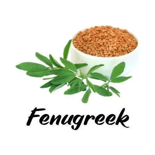 Fenugreek seeds in a bowl with leaves on a white background, labeled 'Fenugreek'.