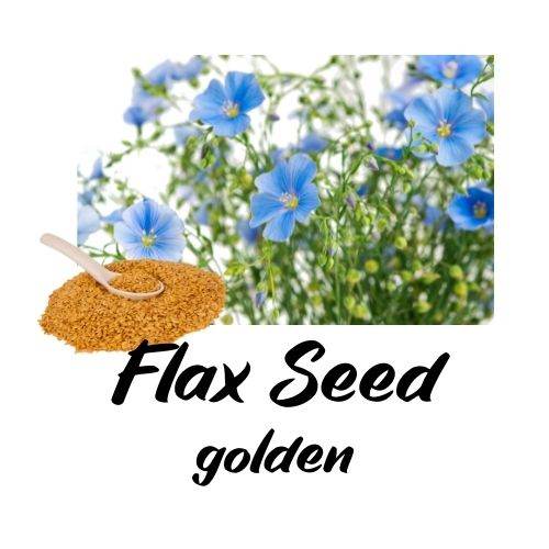 Flax_Seed_golden