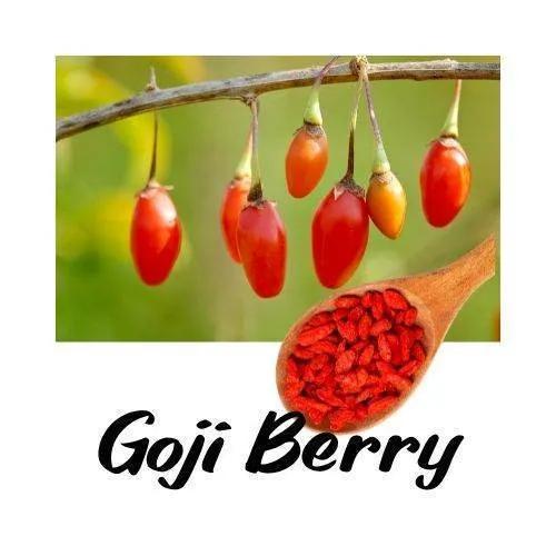 Goji berries on a branch with a wooden spoon filled with goji berry seeds against a white background.