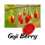 Goji berries on a branch with a wooden spoon filled with goji berry seeds against a white background.