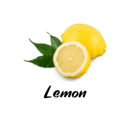 Two lemons, one whole and one sliced, with green leaves on a white background.