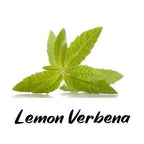 Green leaves of lemon verbena with the text 'Lemon Verbena' on a white background