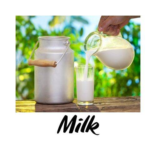 Milk being poured from a pitcher into a glass with a metal milk can, against a blurred green outdoor background.