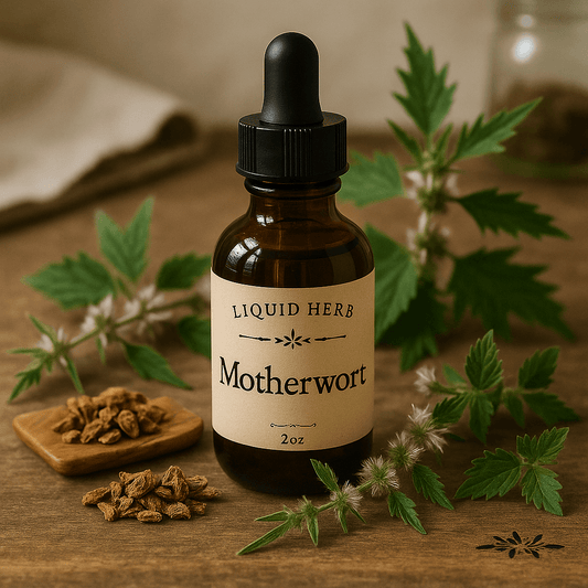 Motherwort Liquid Herb - Triple H Homestead & THH Country Store -- 