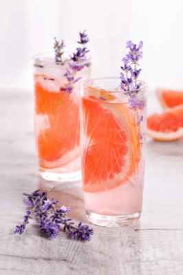 Orange Lavender Oxymel - Triple H Homestead & THH Country Store -- 