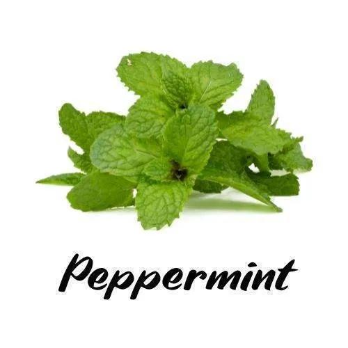 Peppermint leaves with the word 'Peppermint' below on a white background