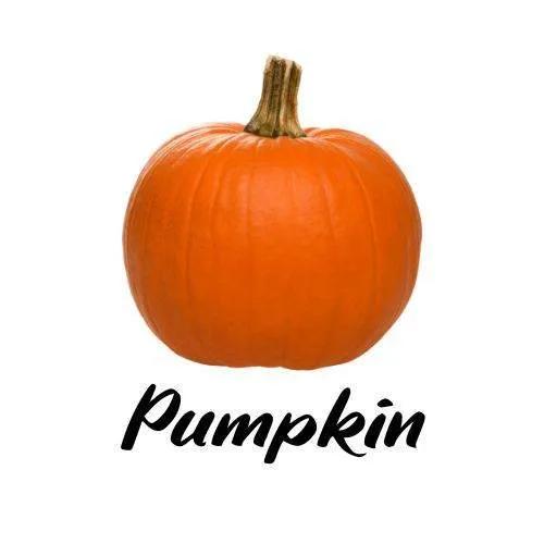 Orange pumpkin with a white background and the word 'Pumpkin' below it.