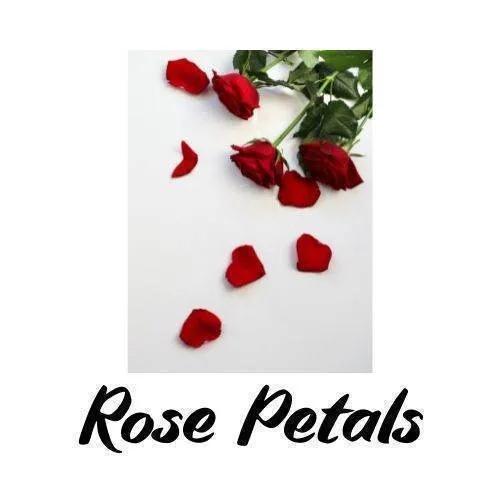 Red rose petals and a stem on a white background with 'Rose Petals' text.