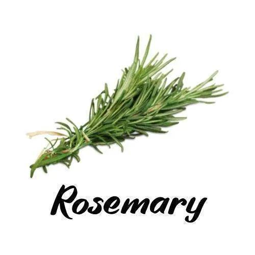 Study Buddy - Triple H Homestead & Triple H Country Store -- Tea Tub