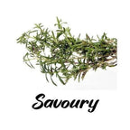 Bunch of fresh savory herb with the word 'Savoury' below on a white background
