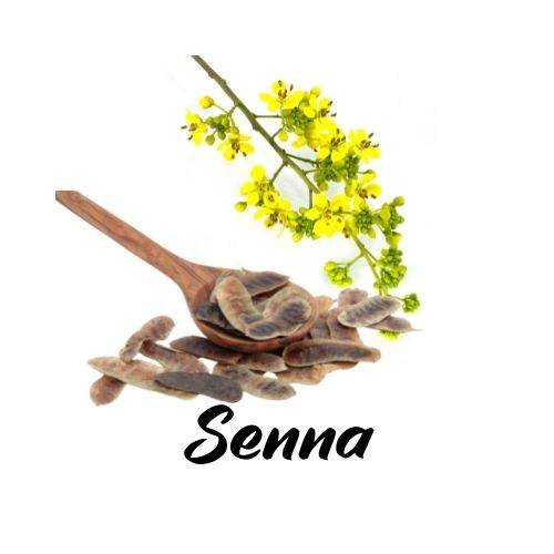 Senna Leaves on a wooden spoon and a flower