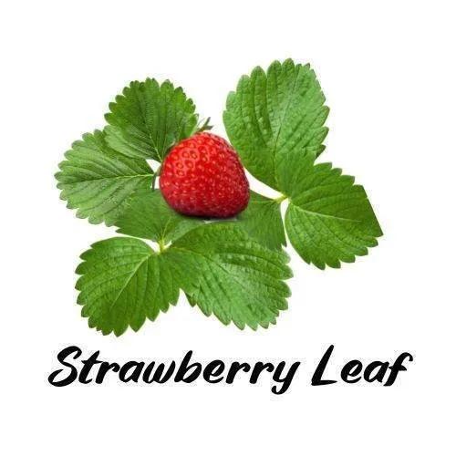Red strawberry with green leaves on a white background, labeled 'Strawberry Leaf'.