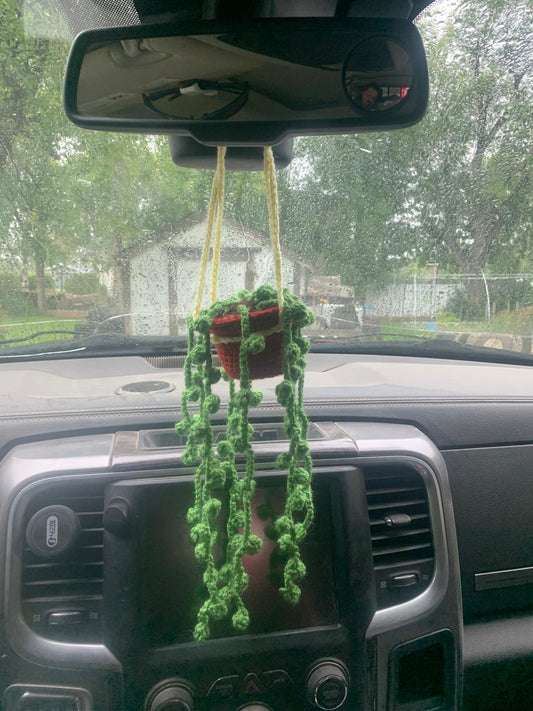 Crochet String of Pearls Plant ✨🌿