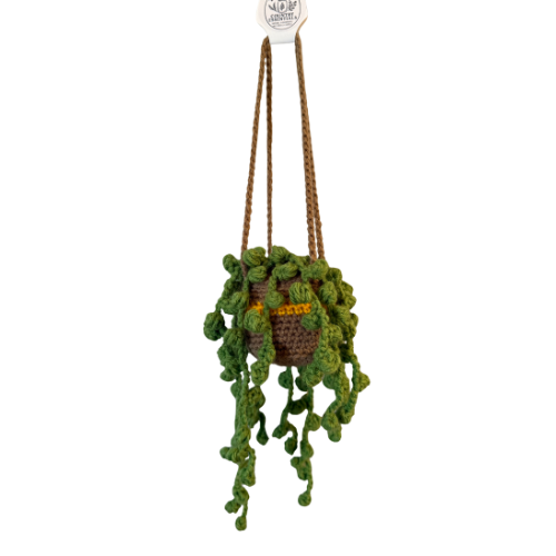 Crochet String of Pearls Plant ✨🌿