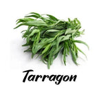 Bunch of tarragon leaves with the word 'Tarragon' written below on a white background