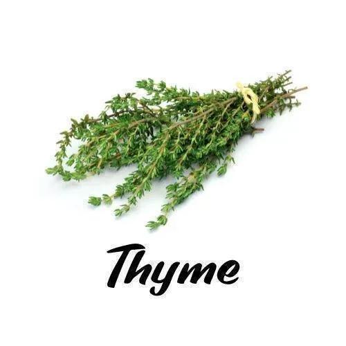 Prairie Hunter - Triple H Homestead & Triple H Country Store -- Culinary Pouch