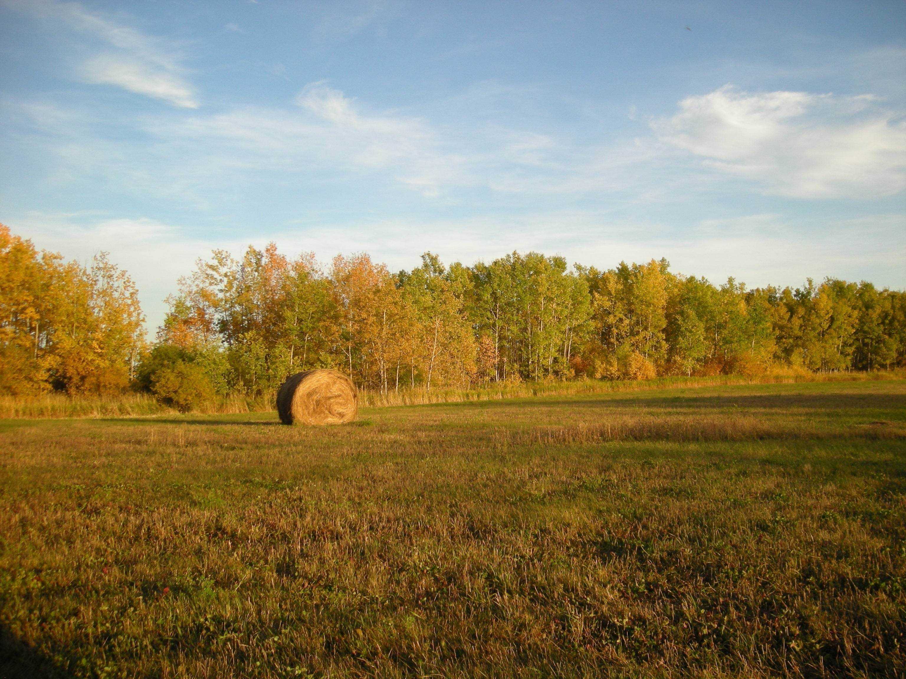 Triple_H_Homestead_Farm - Triple H Homestead & THH Country Store
