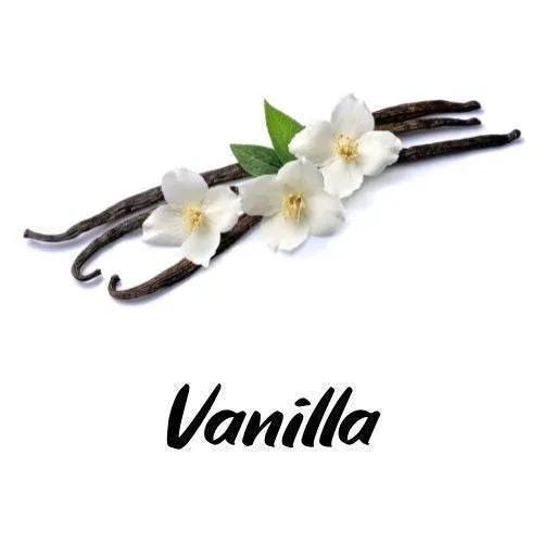 Vanilla beans with vanilla flowers on a white background