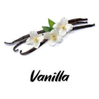 Vanilla beans with vanilla flowers on a white background