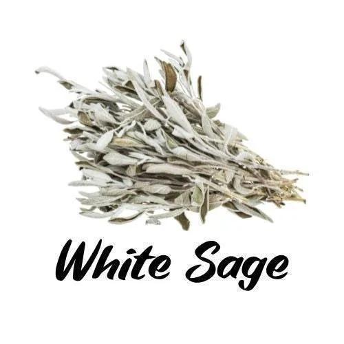 Bundled white sage on a white background with 'White Sage' text.