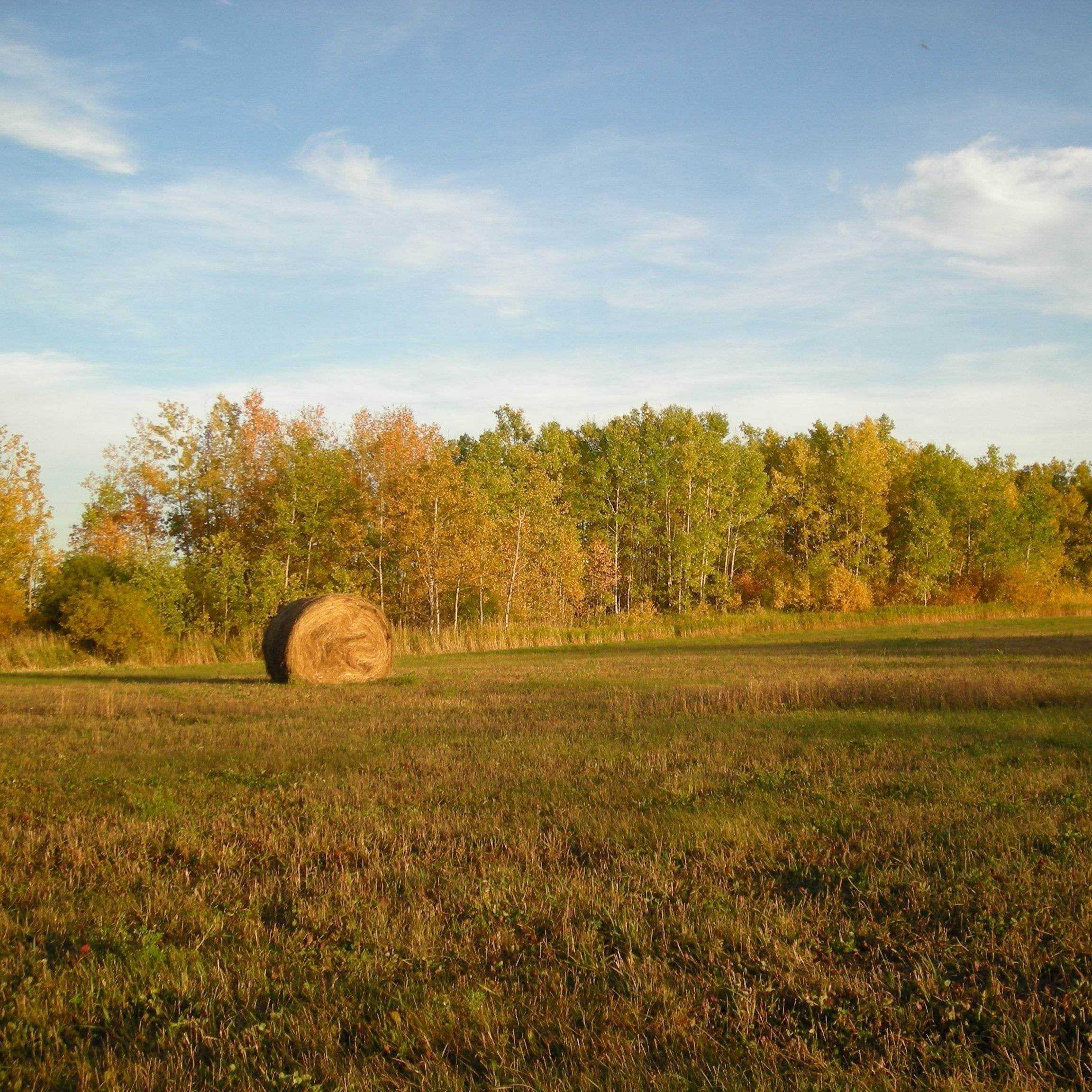 Triple H Homestead & THH Country Store