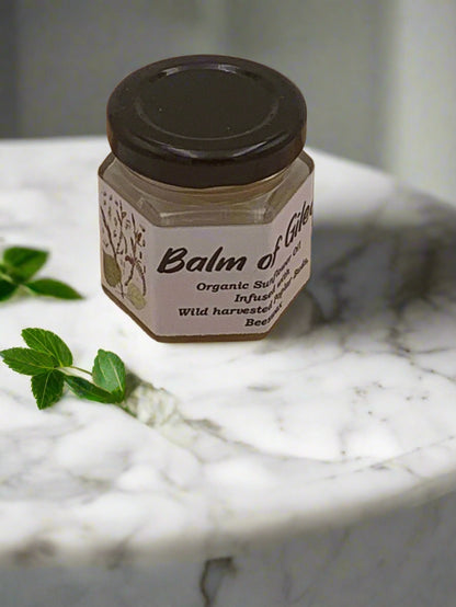 Triple H Homestead natural balm of gilead salve in small jar on marble surface with green leaves