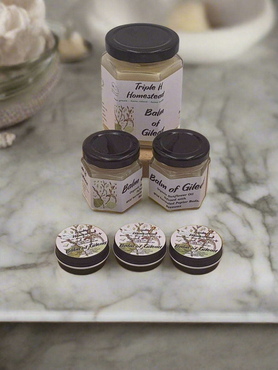 Triple H Homestead natural balm of gilead salve jars arranged on marble surface
