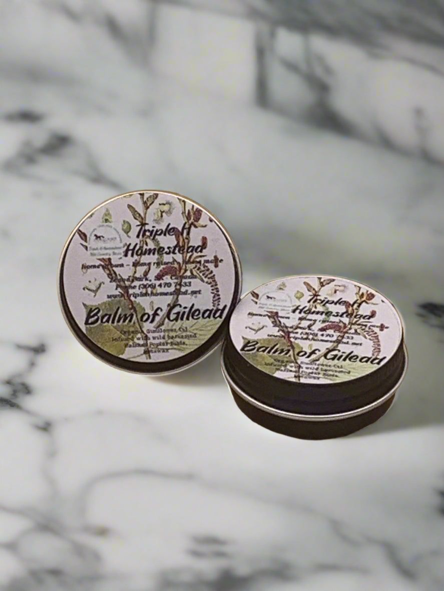 Triple H Homestead natural balm of gilead salve tins with botanical label on marble surface
